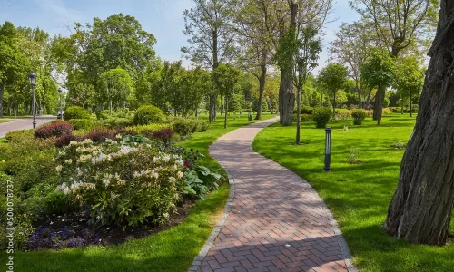 1000_F_500078737_cSi2Ge8istCnHIhZSJXCIwTSIVwYrK8N